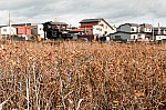 2016-11-tomakomai-319.jpg