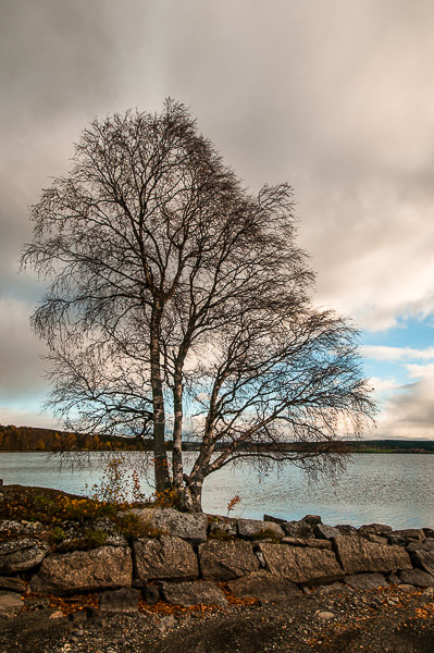 2017-10-ostersund-211.jpg