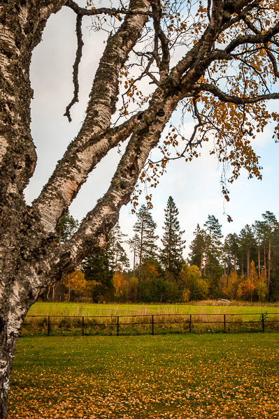 2017-10-ostersund-212.jpg