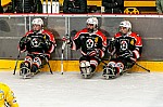 2019-03-16-sledge-finale-206.jpg