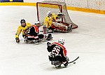 2019-03-16-sledge-finale-208.jpg