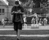 _TUC6084, 1/250 sec at f / 6,3, ISO 200