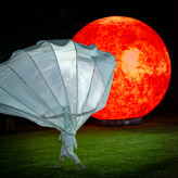 20250614214226-_TUC6795-Enhanced-NR, 1/400 sec at f / 4,0, ISO 4000